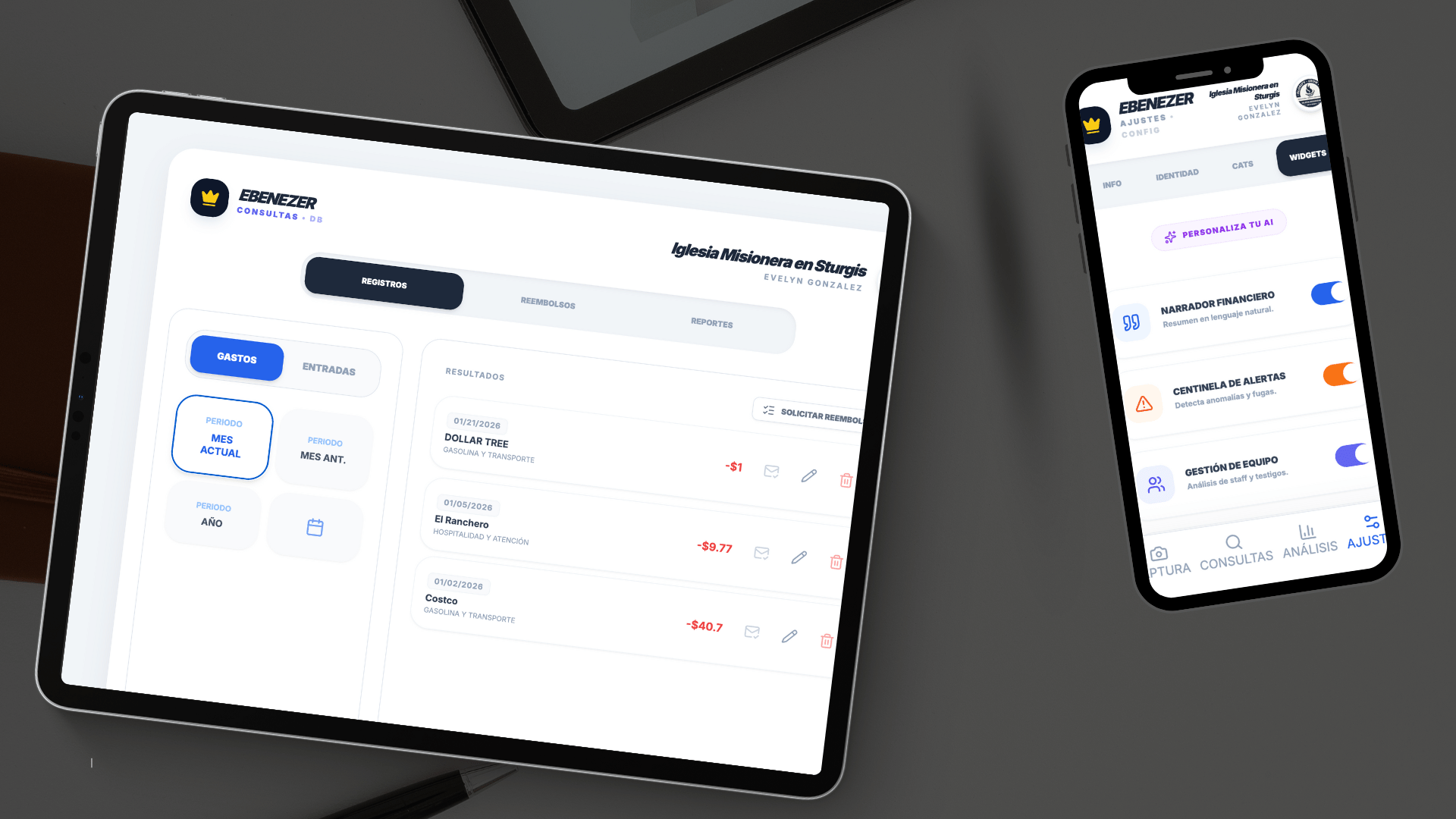 Ebenezer Pro Interface